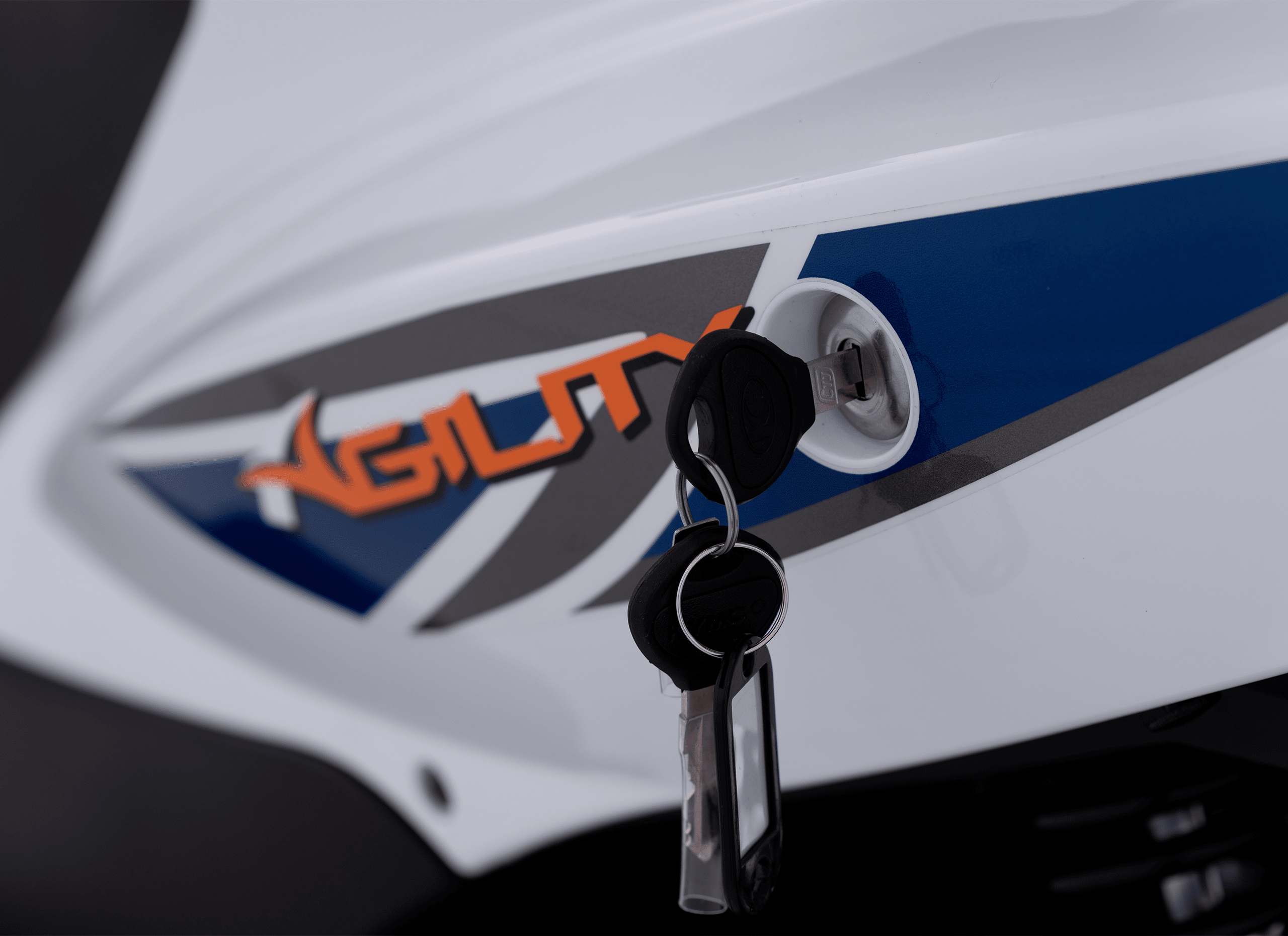 Galeria_Agility50_7-1